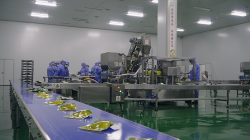 深鲨集团布局食品互联网销售新蓝海，引领行业数字化转型新风向